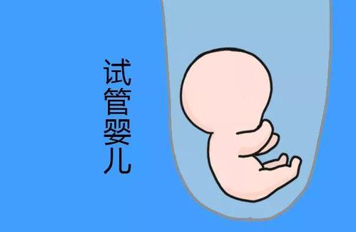 林医生
